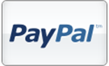 paypal payment icon